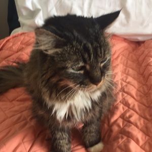 Meet your Posher, Leanne